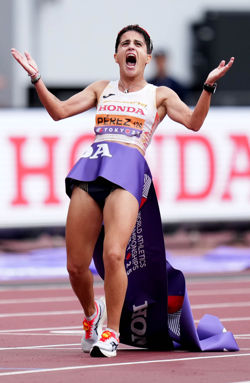 AliME, om, kyPfP AliME, om, kyPfP